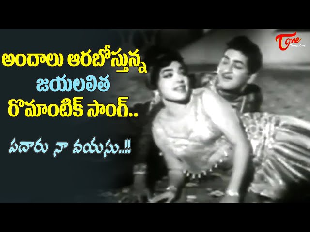 Jayalalitha Beautiful Memories | Padaru Na Vayasu Song | Sukha Dukhalu Old Movie | Old Telugu Songs