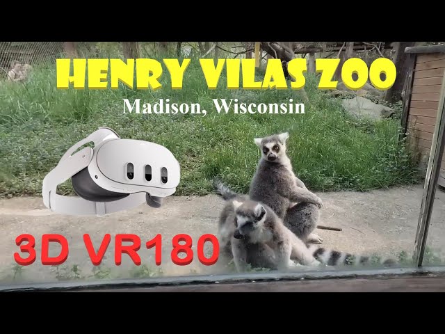 Henry Vilas Zoo | Madison, WI | VR180