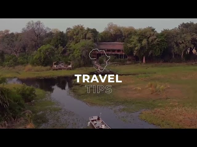 Travel Tips: The Top 5 Reasons to Travel to the Okavango Delta