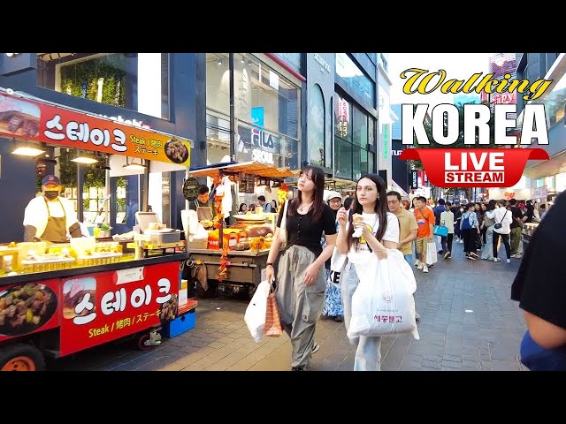 Live Korea Travel 🇰🇷 Seoul Walk Tour | Korean Food Street | Walking Tour Seoul Myeongdong Night 명동거리