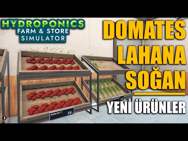 YENİ SEBZE ÜRÜNLERİ YETİŞTİRİYORUZ !! DOMATES - LAHANA - SOĞAN #7 | HYDROPONICS FARM !!