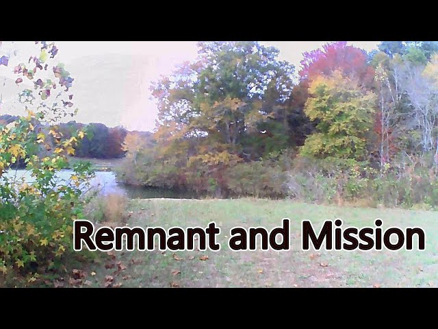 Remnant And Mission