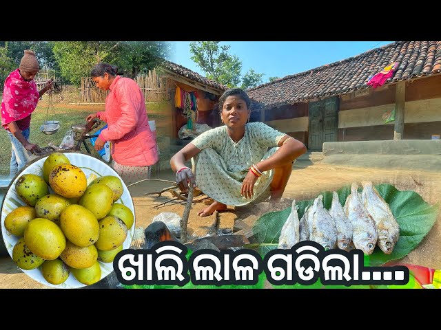 Dry fish Ambada chutney || ଆମ୍ବଳା ସୁକୁଆ ଦୋଳା କି ଟେଷ୍ଟ ।। village tribal life