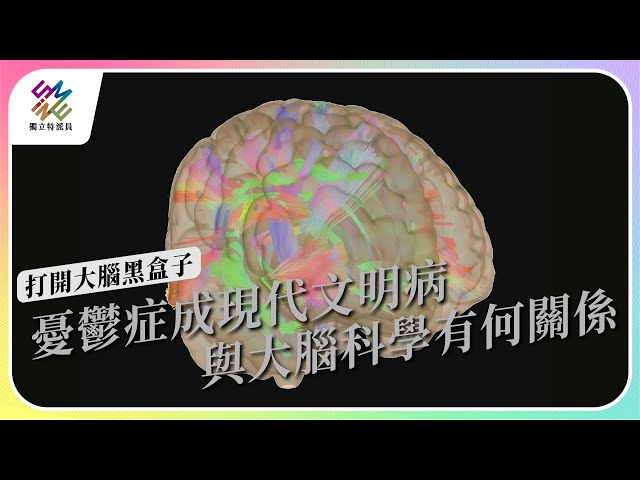 憂鬱症成現代文明病，與大腦科學有何關係｜打開大腦黑盒子｜公視 #獨立特派員 第798集 20230426