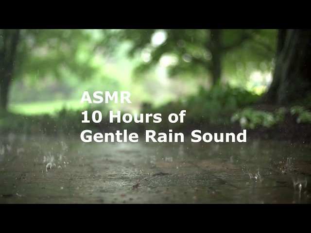 🎧ASMR♫10Hours of Rain sound♫for relaxing Studying Meditation