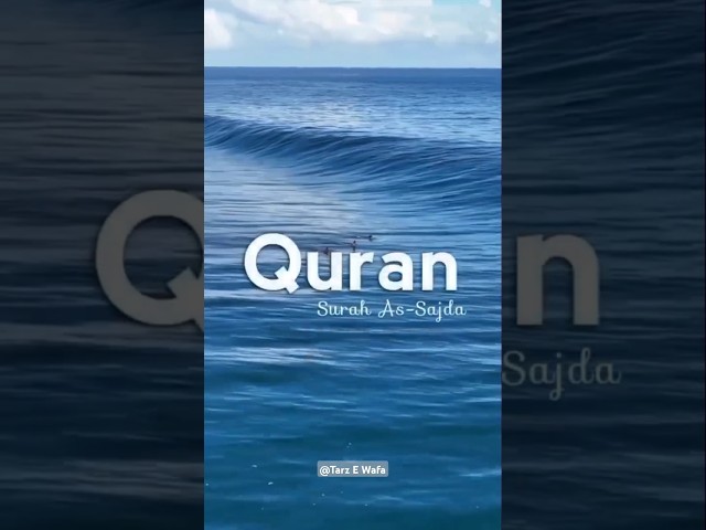 Friday Special💚Quran Status URDU❤️#quran#shorts#islam#naat #quranicverse#lyrical#status Al LYRICS