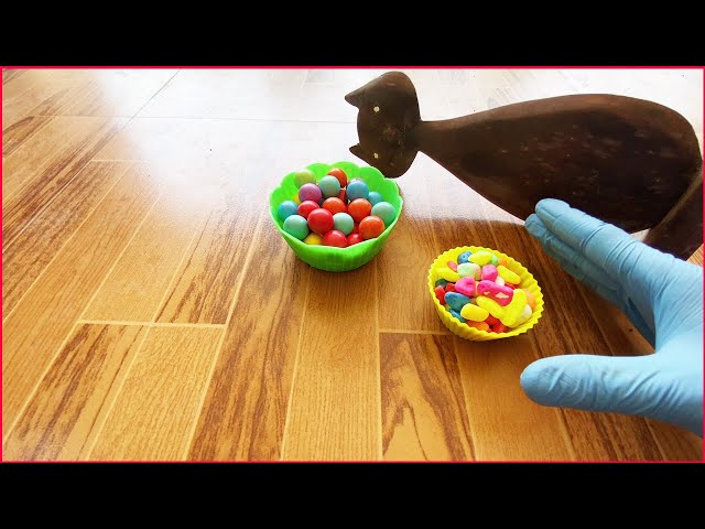 Cats vs Marbles: The Ultimate Showdown #Marble #Satisfying #asmr