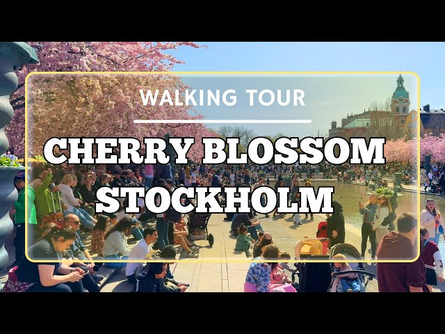 Stockholm City Walk | Sweden in 4K | Stockholm City Walking Tour 4K | Virtual Tour of Sweden