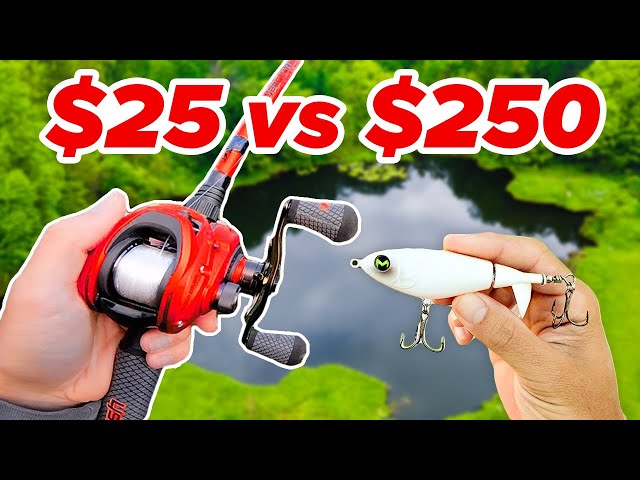 $25 vs $250 Budget Fishing Challenge!