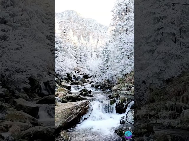 Snow Capped Serenity | Calming Mountain Stream #Relaxation #NatureSounds #Meditation