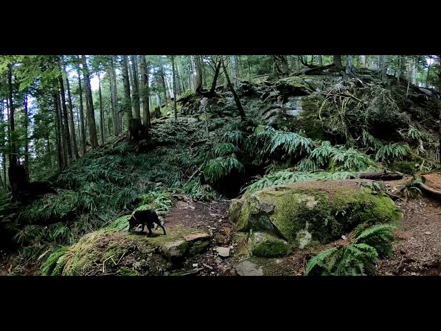 Old Mine Trail