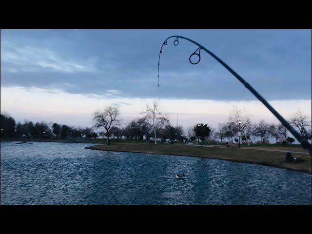 Trout Fishing With a Mini Jigs at Riverwalk Park on a Windy Day 1/28/21