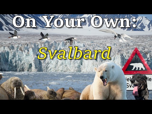 How to Visit Svalbard On Your Own