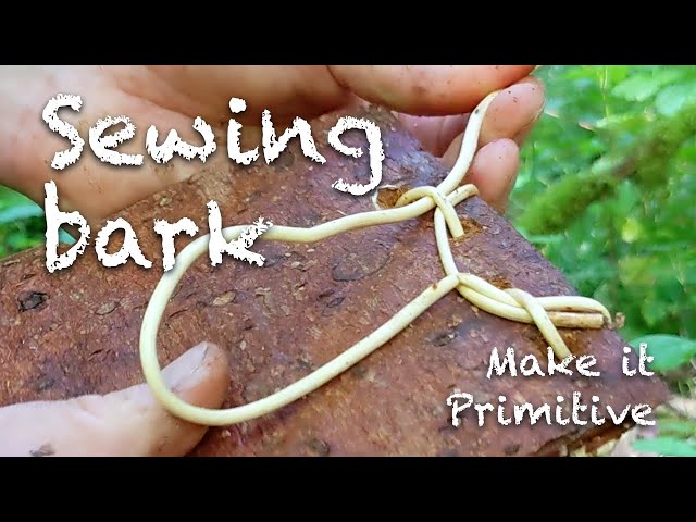 Primitive basketry 3: Spruce bark containers & axe sheaths 🧺