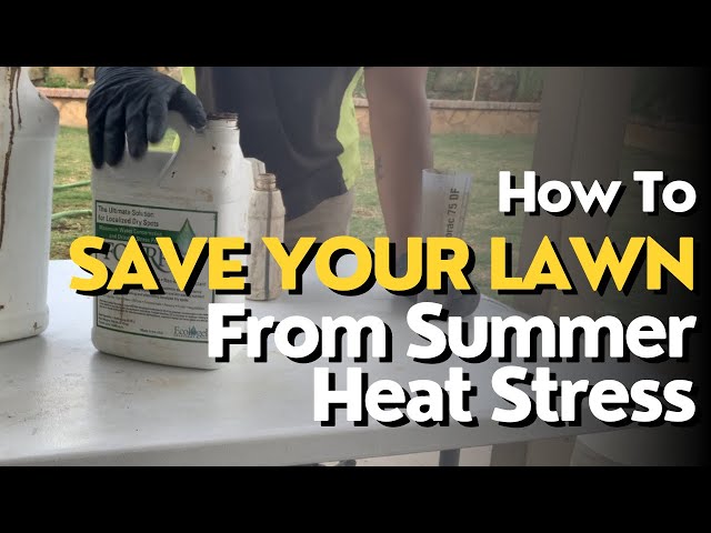 How To Protect Your Lawns From Summer Heat Stress