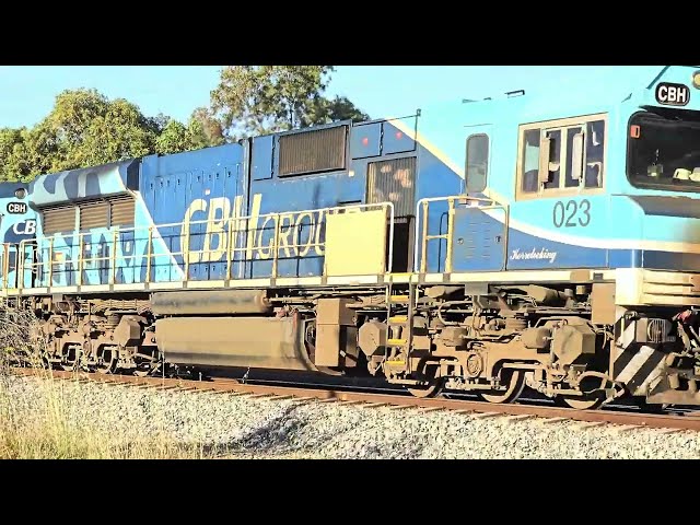 CBH Grain Train #railway #trainspotting #railfanning #trainspotter #indianrailways #railfans #rail