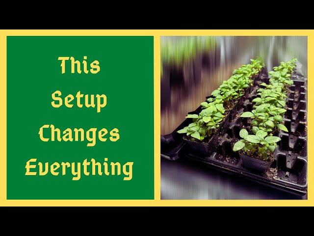 Stop Struggling w/ Seed Starting! - This Setup Makes It EASY