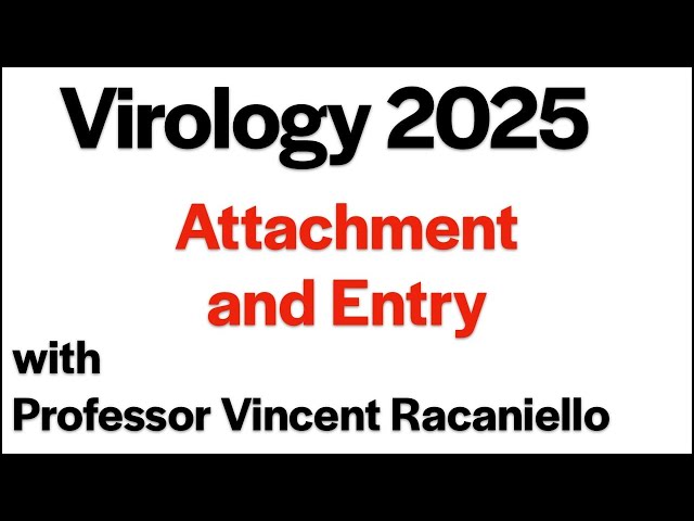 Virology Lectures 2025 #5: Attachment and Entry