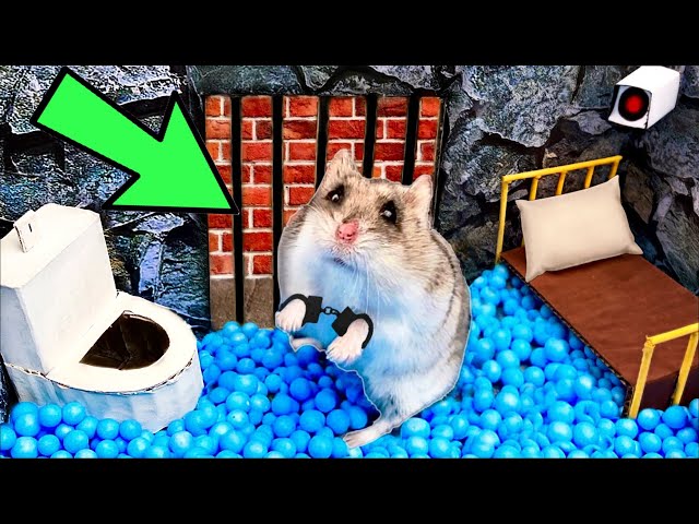 🐹Hamster Escapes the Amazing Maze and Traps😱[OBSTACLE COURSE]😱 + ZOMBIES