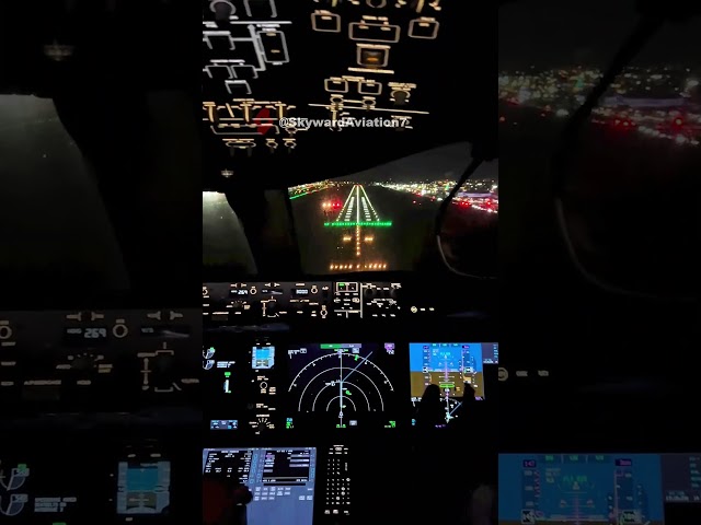 787-8 Smooth Night Landing ✈️ | Beautiful Views 🌃 #aviation #automobile #airplane #landing #aircraft