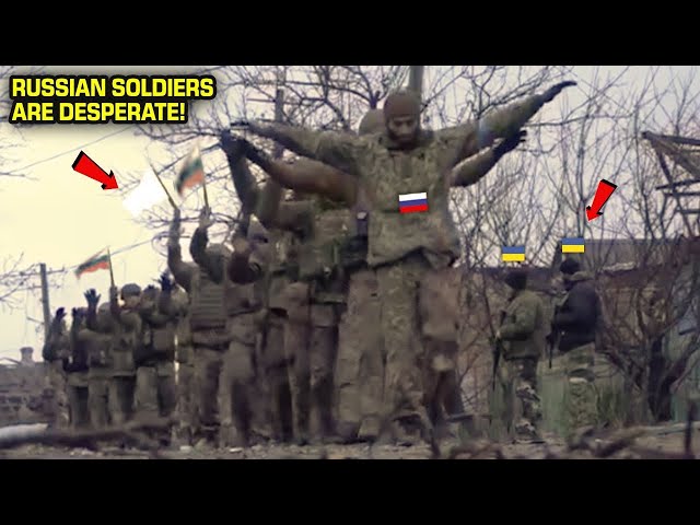 Russia's Nightmare: North Korean Soldiers Were Destroyed By Ukraine!