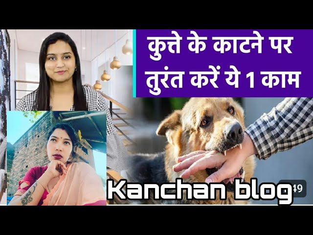 कुत्ता काटने पर तुरंत यह काम जरुर कर ले 24 घंटे के अंदर,,,#viralvideo #youtube #kanchanvlog