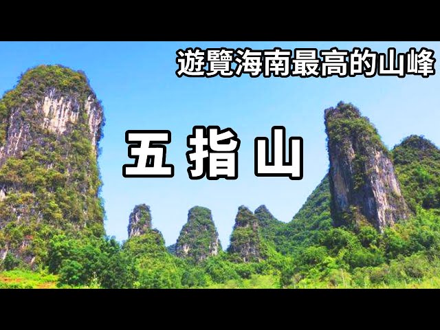 A video to take you to visit the highest mountain in Hainan Wuzhishan! It is even more towering tha