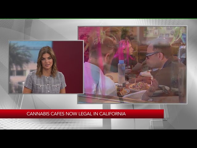 Cannabis cafes now legal in California