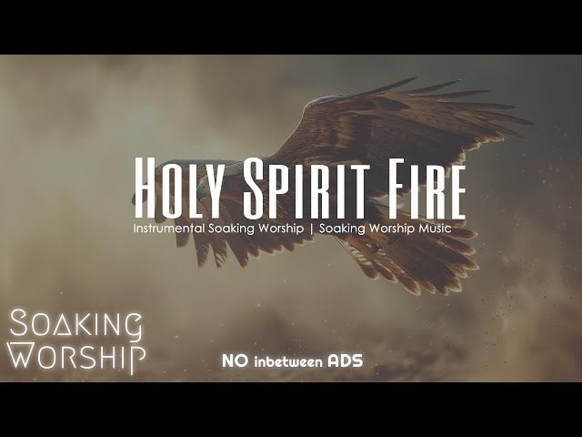 Holy Spirit Fire | Instrumental Worship Music | Soaking Worship Music