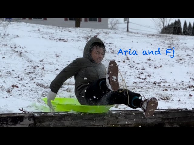 Snow Sledding: with Aria and Fj