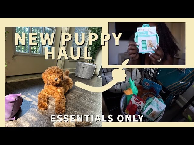 EVERYTHING I GOT FOR MY NEW PUPPY | New Puppy Haul