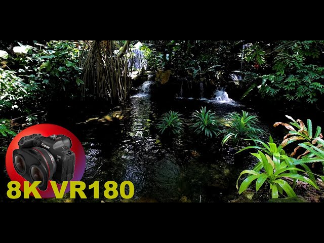 RELAX AND ENJOY the Botanical Gardens in Singapore 8K/4K VR180 3D (Travel Videos/ASMR/Music)