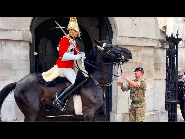 Incredible Horse Rescue: Royal Guard's Unforgettable Act of Heroism