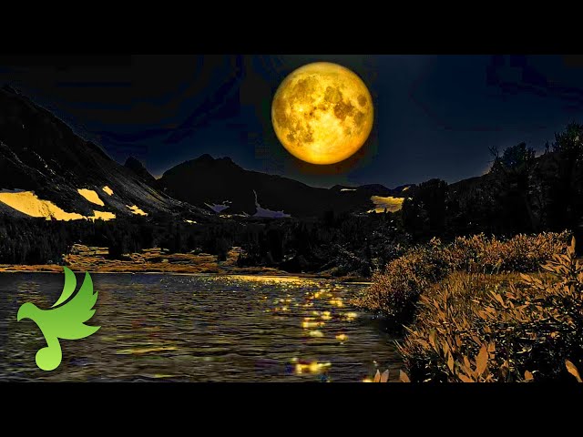 Moonlite over Mountain Lake, Crickets, Babbling Brook & Night Sounds, Study Sounds, Sleep Sound