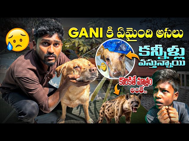 Gani కి ఏమైంది అసలు..😭 | కొరికితే మాత్రం అంతే..😲| కన్నీళ్లు వస్తున్నాయి..🥺| @upendragani