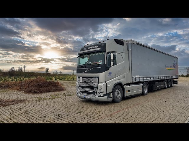 Is this job for you ⁉️ Complete one day behind the wheel of a truck 🚚  POV Truck Driving VOLVO FH ❗️