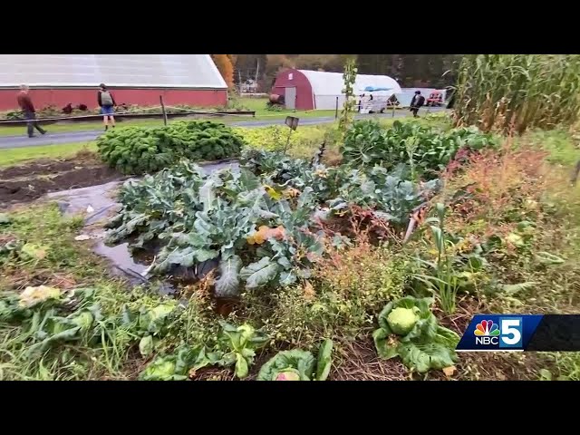 Farmers feeling the effect of USDA freeze