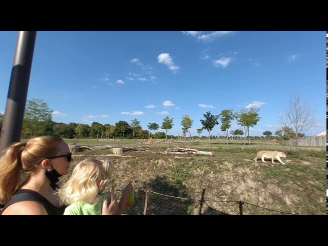 180vr Columbus Zoo Sept. 2020