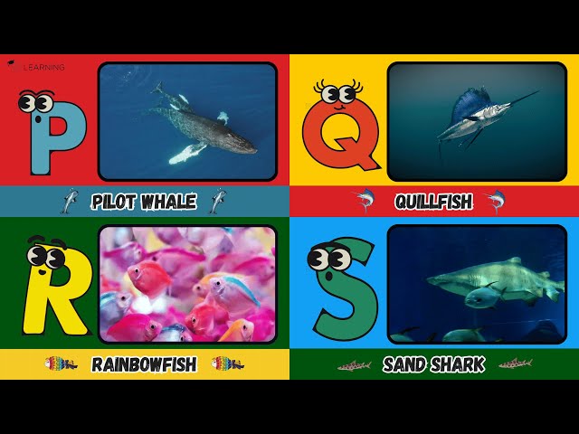 ABC Sea Creatures Song | A to Z Underwater Adventure for Kids 🐠🐙 | #abcd #kids