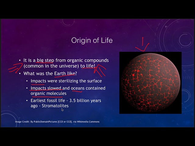 Lesson 30 - Lecture 1 - Astrobiology - OpenStax