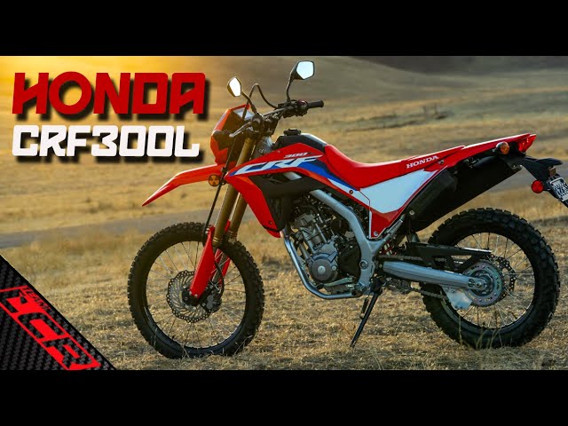 2023 Honda CRF300L | The PERFECT Beginner Off-road Motorcycle