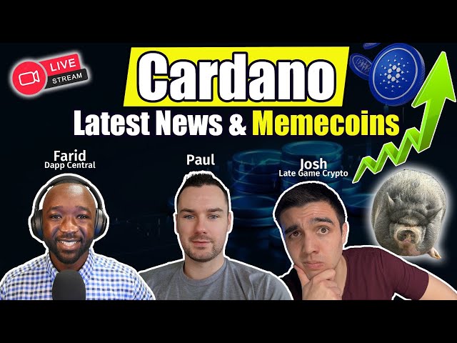 Cardano Latest Updates And Memecoin Explosion LIVE