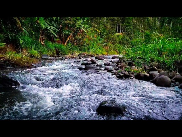 WATER AND NATURE SOUNDS FOR SLEEP