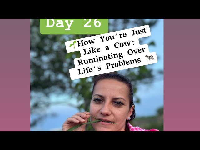 🌺Day 26 - How You’re Just Like a Cow: Ruminating Over Life’s Problems 🐮