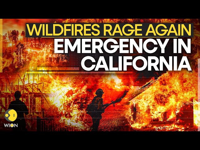 Los Angeles Wildfire 2025 LIVE: California Wildfire Takes Nasty Turn, San Diego Burnt To Ashes?