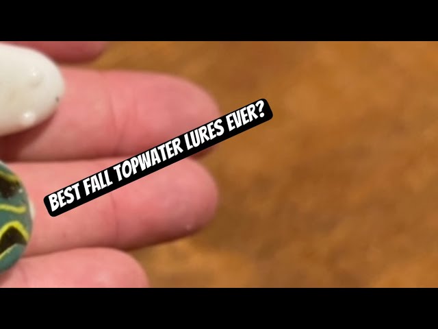 The 2 Best Fall Topwater Lures Your Friends Are Not Fishing