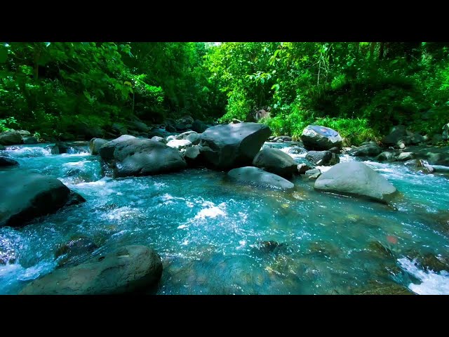 Relaxing rainforest river sounds relaxing water sounds for sleeping asmr relaxing sounds