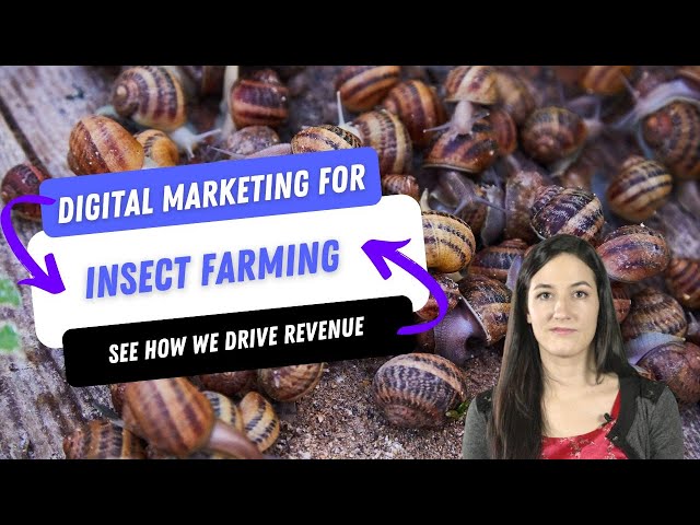 Digital Marketing For Insect Farming | AgFunnel