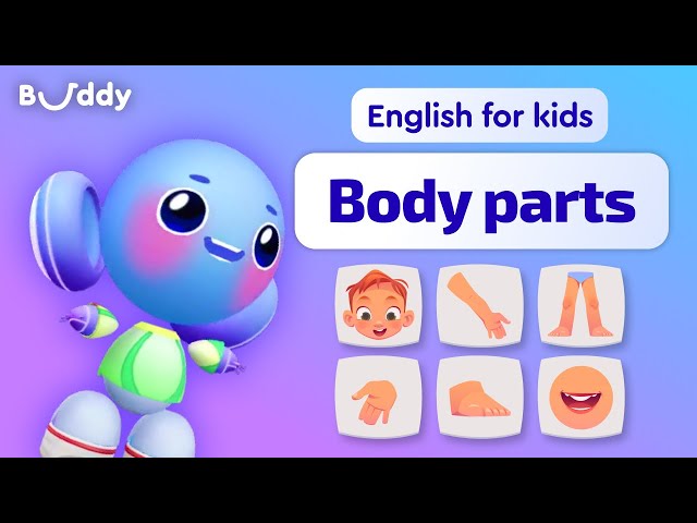 Parts of the Body | Kids vocabulary | Learning English for Kids | Buddy.ai