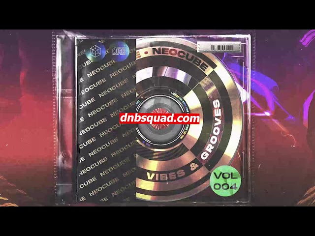 Neocube  - Vibes & Grooves 004 / Drum and Bass Mix 2020 / Liquid Funk / Neurofunk / Deep / Dnb Squad